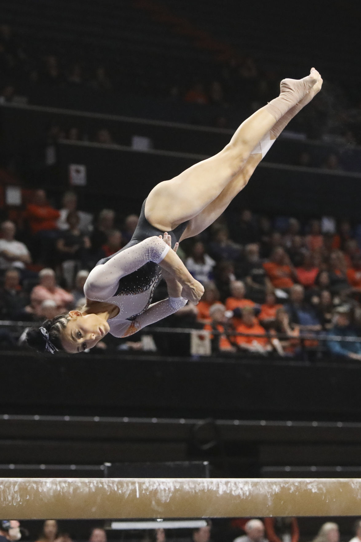 Oregon State Gymnastics